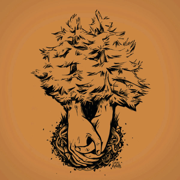Arbres-solidaires_zoom copie
